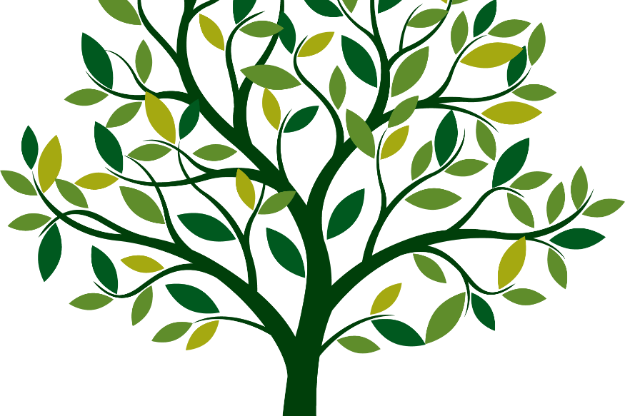 A la croisée des chemins